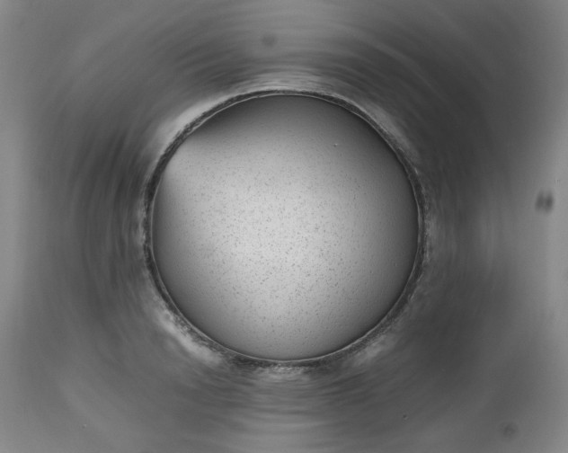 X0000112510846200908311331