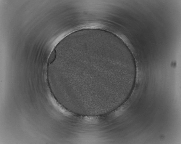 X0000112510850200908311331