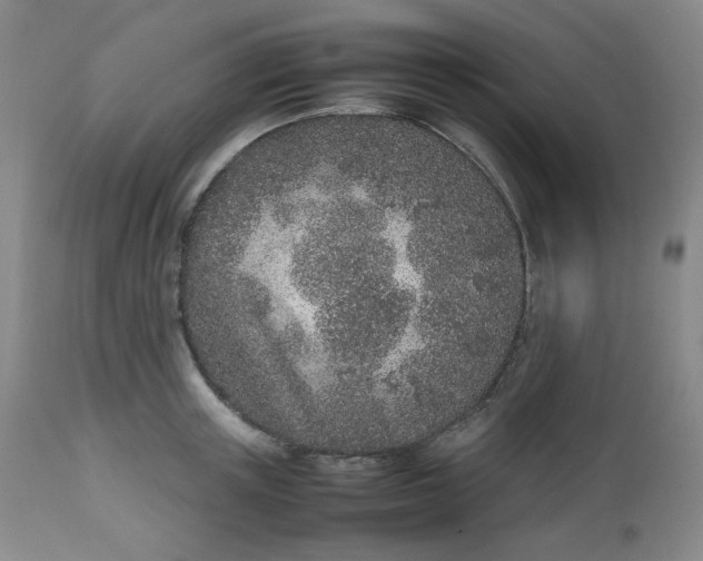 X0000112510851200908311331