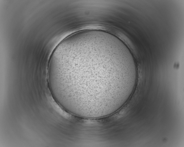 X0000112510852200908311331