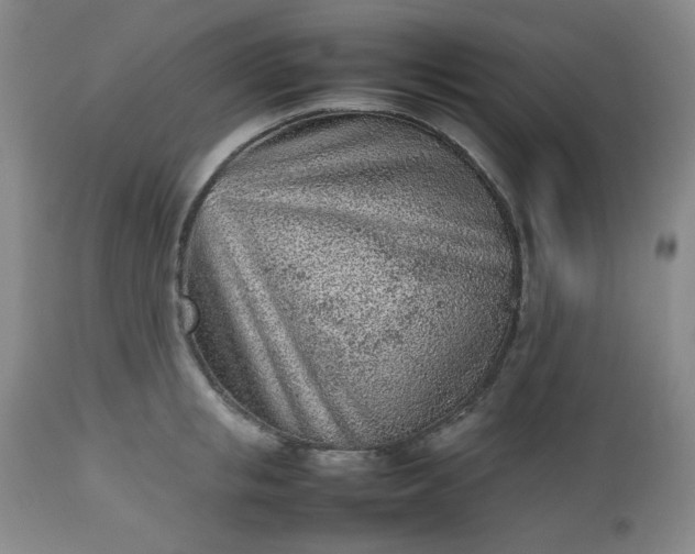 X0000112510853200908311331