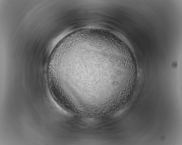 X0000112510855200908311331