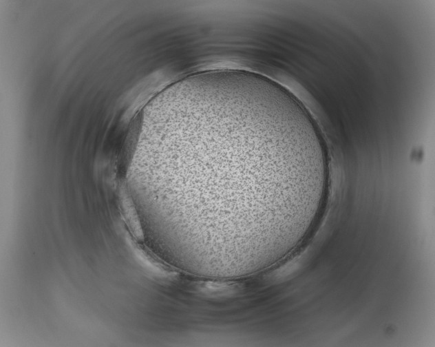 X0000112510857200908311331