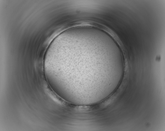 X0000112510858200908311331