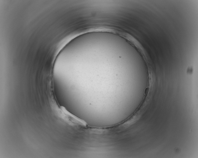 X0000112510860200908311331