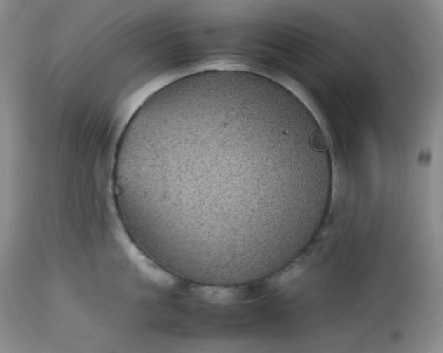 X0000112510861200908311331