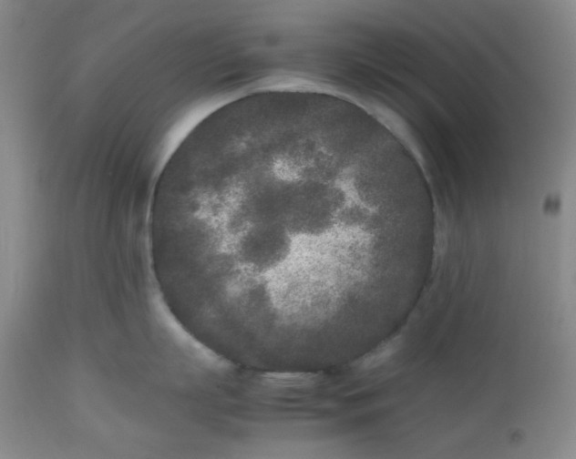 X0000112510863200908311331