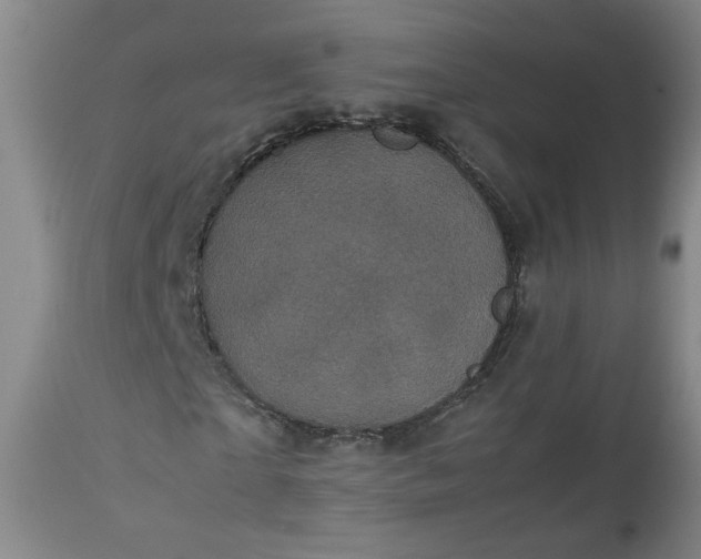 X0000112510865200908311330