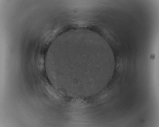 X0000112510866200908311330