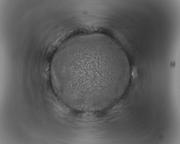 X0000112510867200908311330