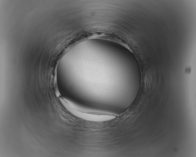 X0000112510868200908311330