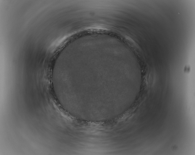 X0000112510870200908311330