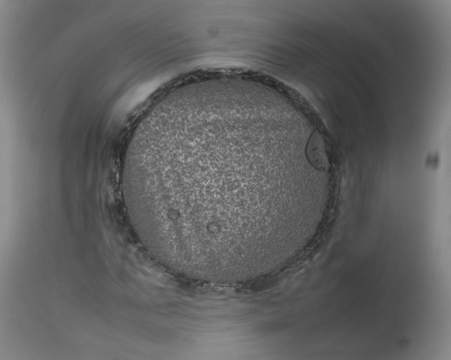 X0000112510871200908311330