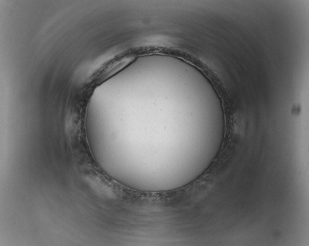 X0000112510872200908311330