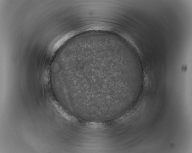 X0000112510874200908311330