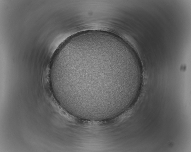 X0000112510875200908311330