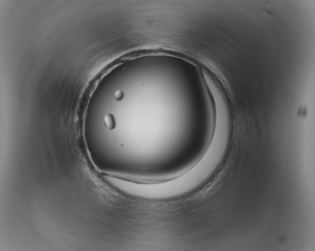 X0000112510876200908311330