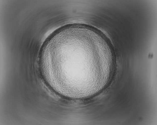 X0000112510879200908311330