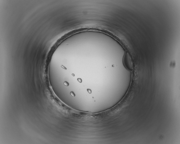 X0000112510880200908311330