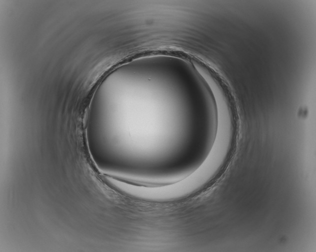 X0000112510881200908311330