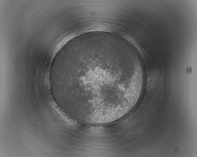 X0000112510882200908311330