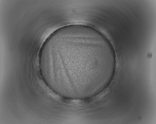 X0000112510883200908311330