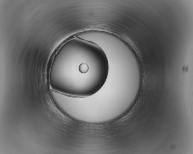 X0000112510884200908311330