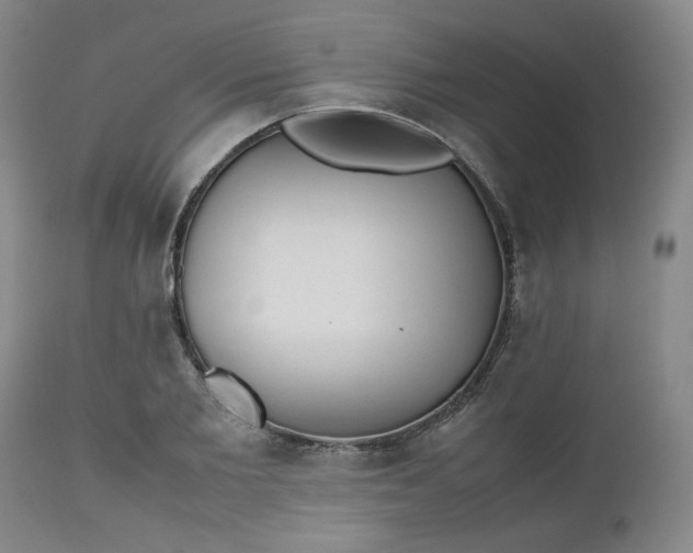 X0000112510885200908311330