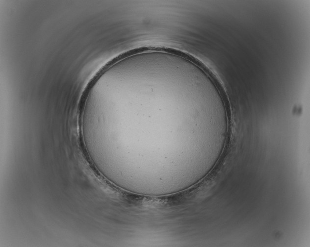 X0000112510887200908311330