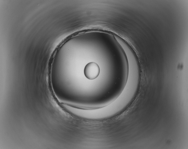 X0000112510888200908311330