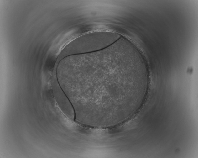 X0000112510889200908311330