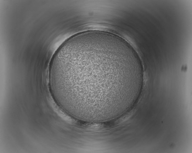 X0000112510891200908311330