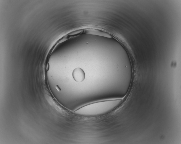 X0000112510892200908311330