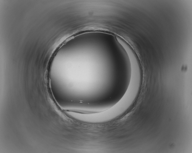 X0000112510893200908311330