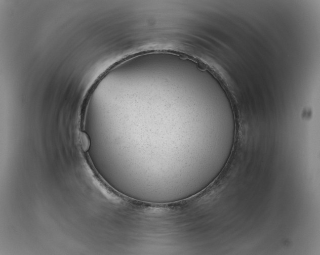 X0000112510894200908311330