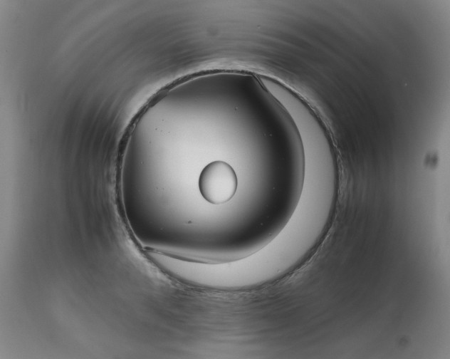 X0000112510896200908311330