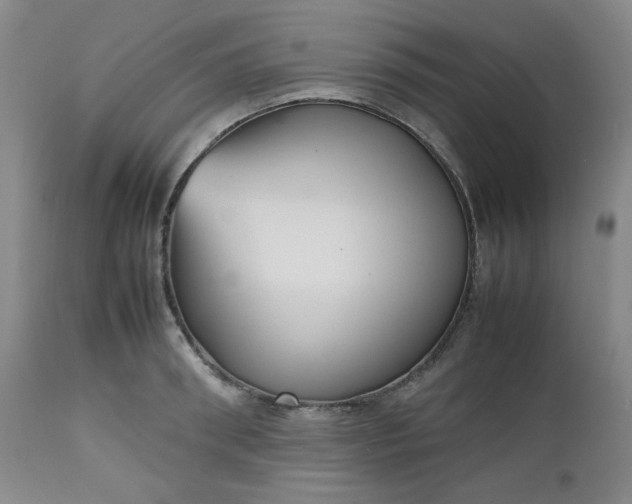 X0000112510898200908311330