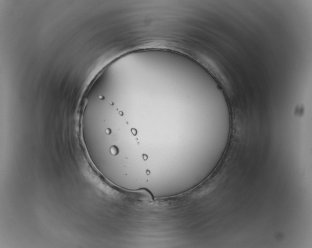 X0000112510900200908311330