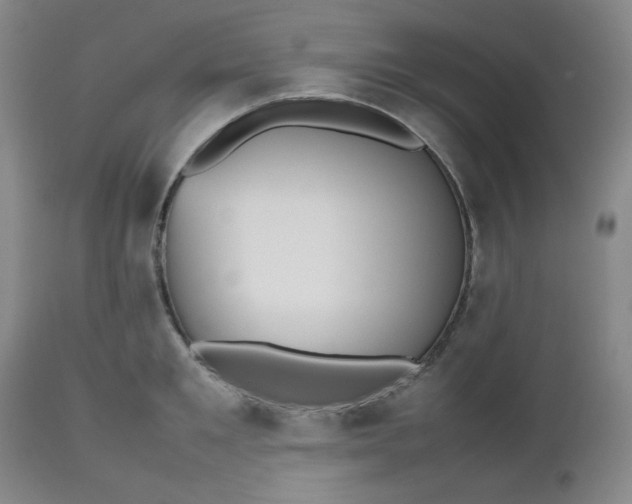 X0000112510901200908311330