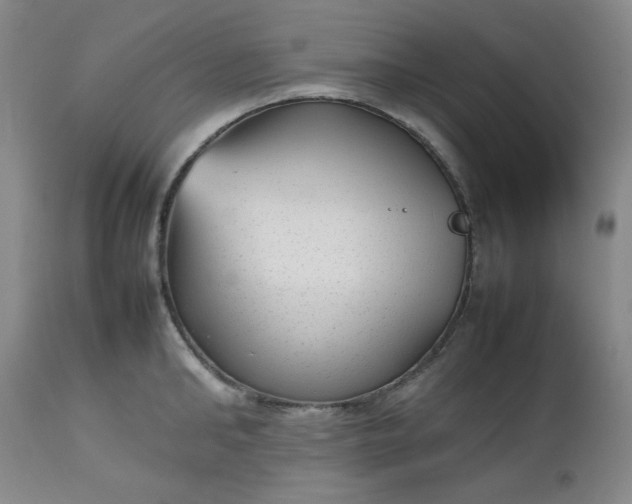 X0000112510902200908311330