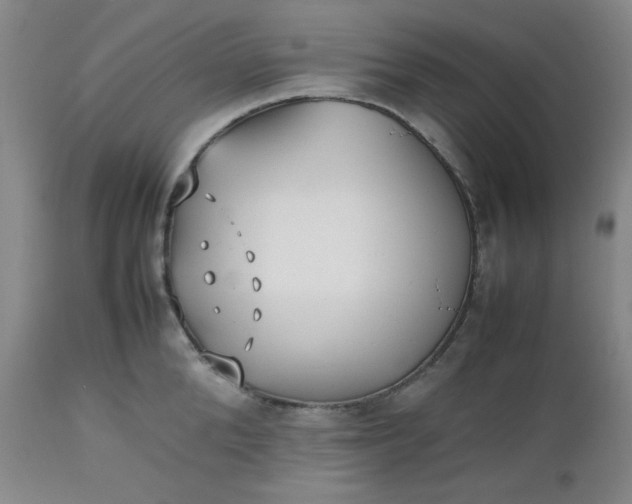 X0000112510904200908311330