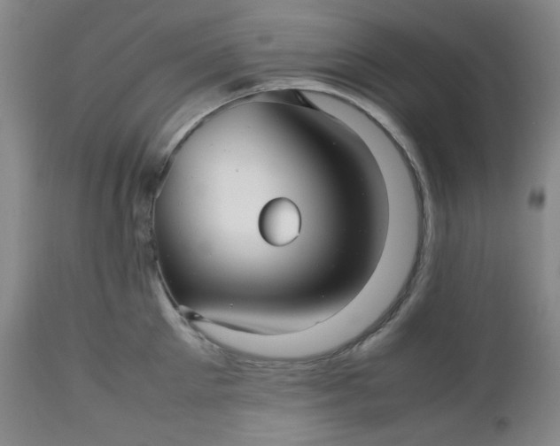 X0000112510905200908311330