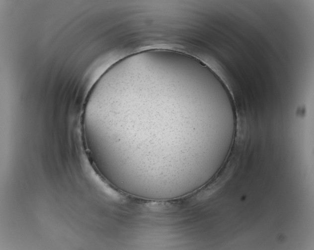 X0000112510906200908311330