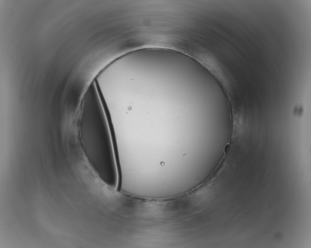 X0000112510908200908311330