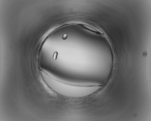 X0000112510909200908311330