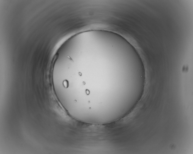 X0000112510912200908311330