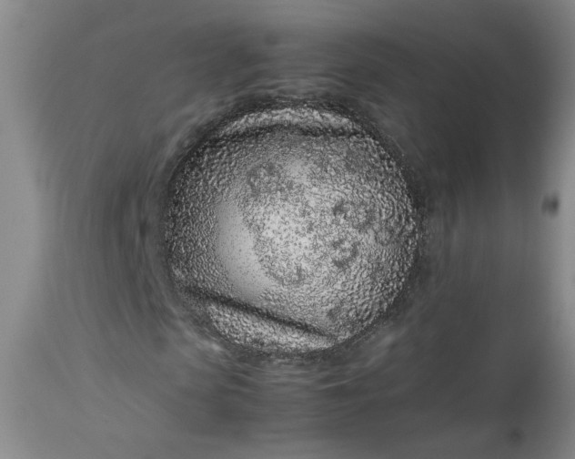 X0000112510913200908311329