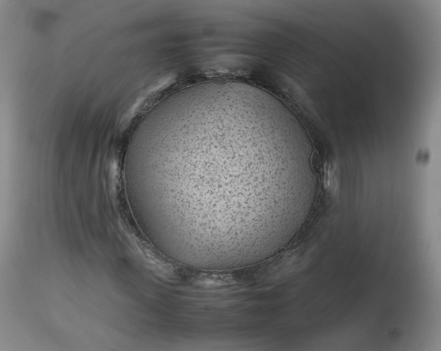 X0000112510915200908311329