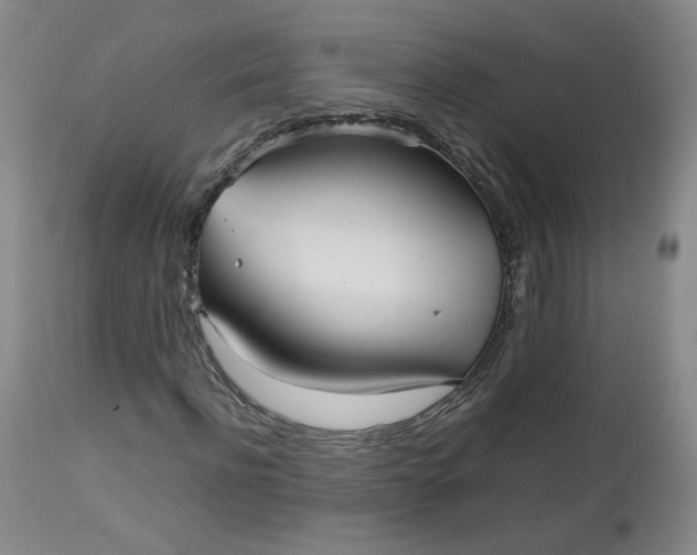 X0000112510916200908311329