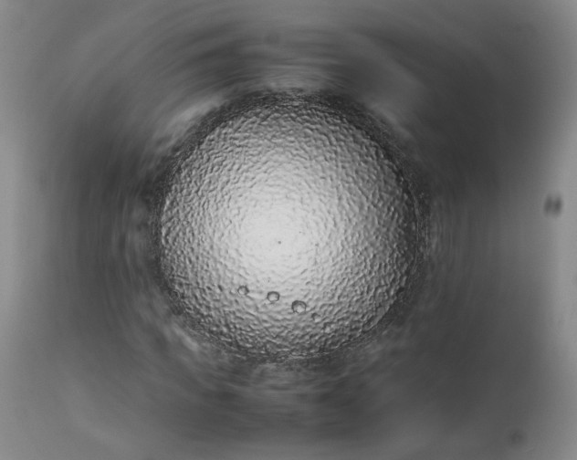 X0000112510917200908311329